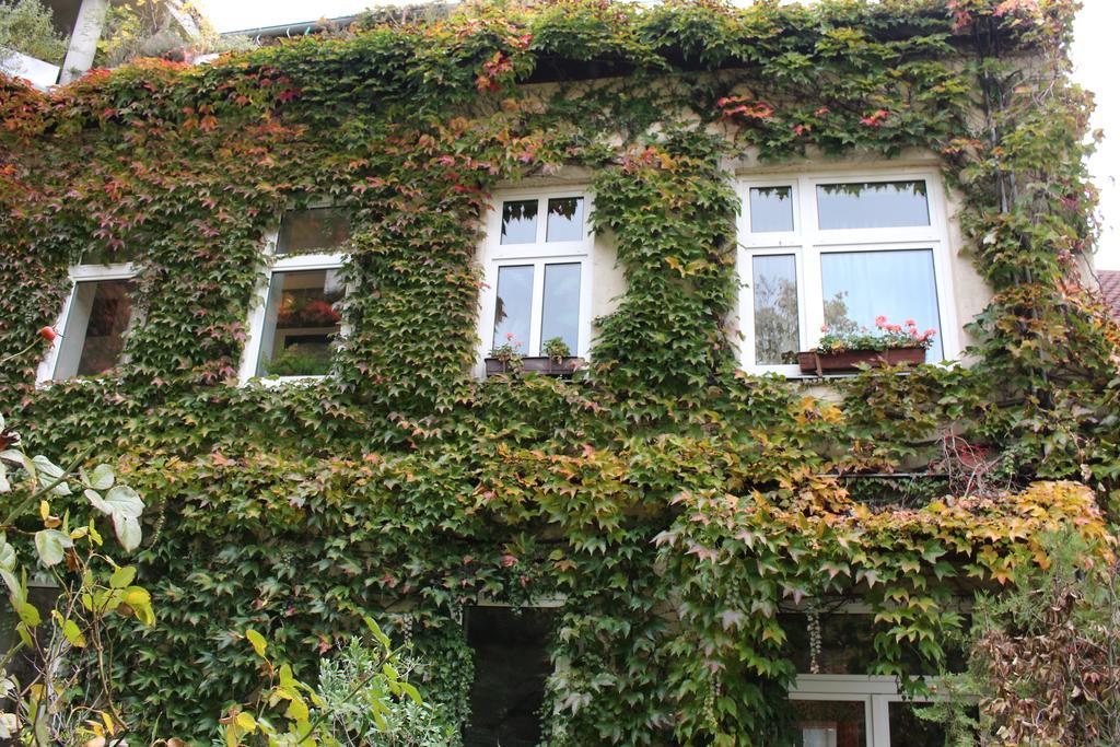 Hotel Wiener Kindl ภายนอก รูปภาพ