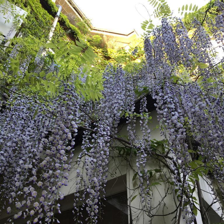 Hotel Wiener Kindl ภายนอก รูปภาพ